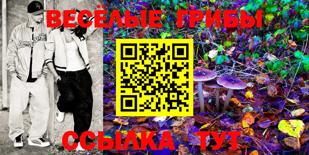 что такое наркотик  Вход с VPN  Долгопрудный  Галлюциногенные грибы Cubensis 